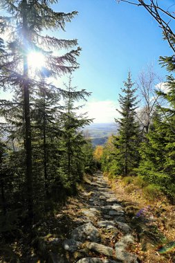 Eski taş turist yolu dağ orman kaplı