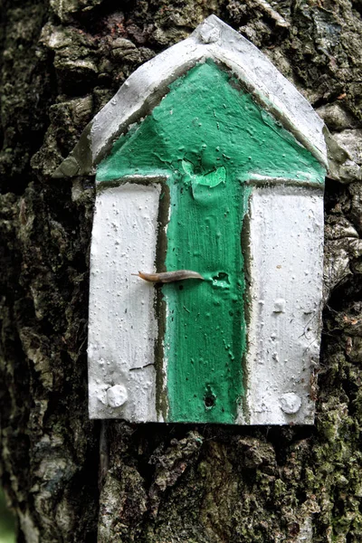 Groene toeristische teken pijl op de boom — Stockfoto