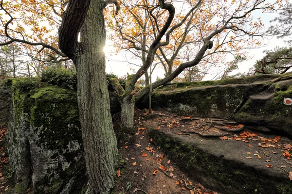 Remains of steps and platforms of medieval rock castle — Stock Photo, Image