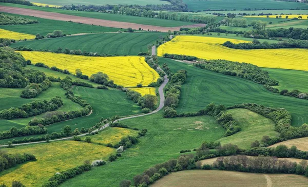 Cenário rural com estrada entre campos de nabo suecos amarelos — Fotografia de Stock