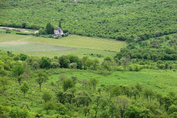 Pequena casa de fazenda nas vinhas — Fotografia de Stock