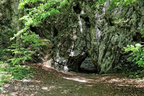 Rak grottan under berget i skogen — Stockfoto