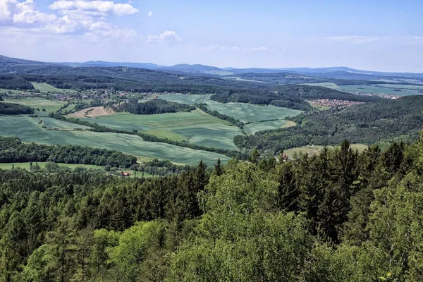 Ländliche Landschaft mit grünen Wiesen und Wäldern — Stockfoto