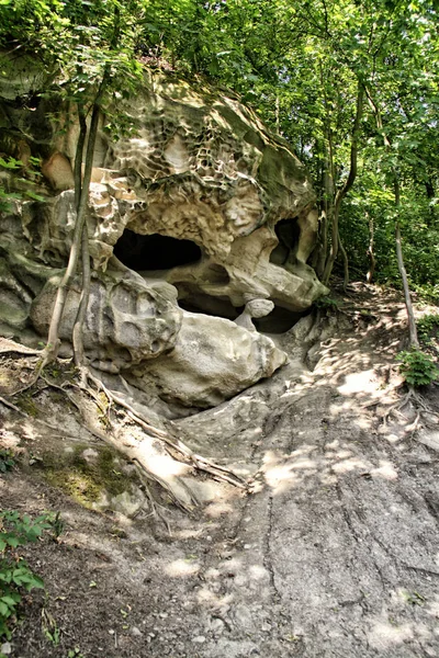 Скала с пещерами и кавитацией в лесу — стоковое фото
