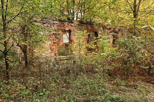 Scrubby remains of the old abandoned house — Stock Photo, Image