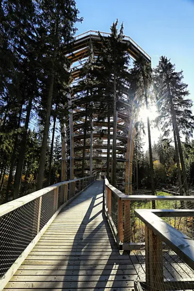 Сучасна видова вежа з дерев'яними доріжками — стокове фото