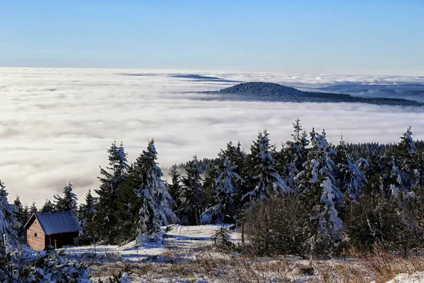 Little chalet by spruces forest above clouds and fog covered hills — Stock Photo, Image