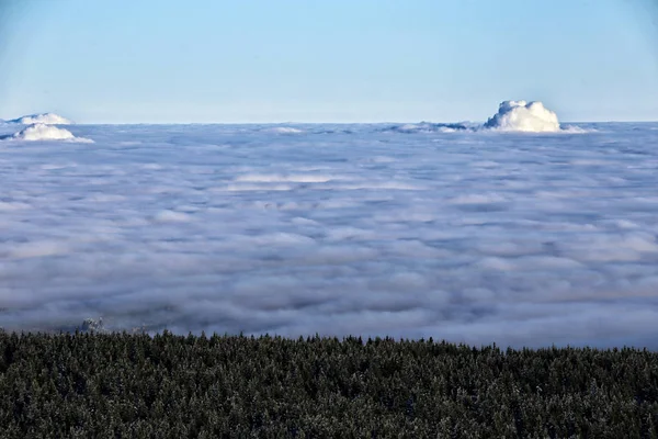 Kokend wolken aan de horizon boven de bossen — Stockfoto