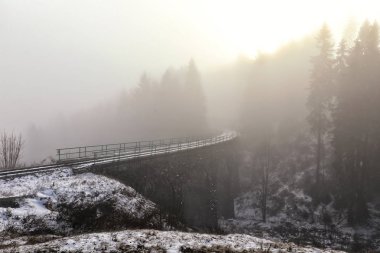 Güçlü sis ormanda gelen kavisli demiryolu Köprüsü