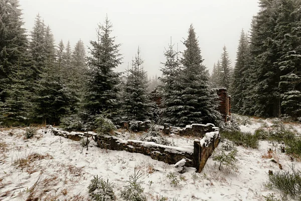 Zbytky základů budovy vztahuje sníh v lese — Stock fotografie