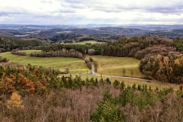 Downy panorama de outono de florestas e árvores com encruzilhada — Fotografia de Stock