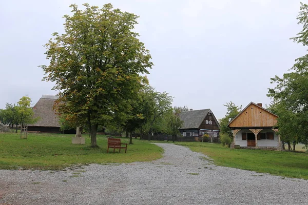 Wieś zielony z domy drewniane — Zdjęcie stockowe