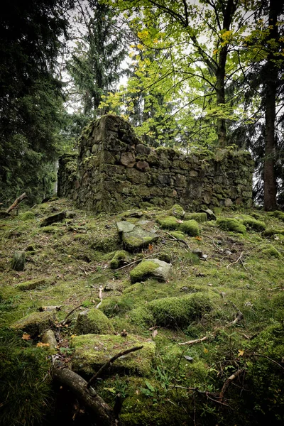 Руїни каплиці, заховані в лісі — стокове фото