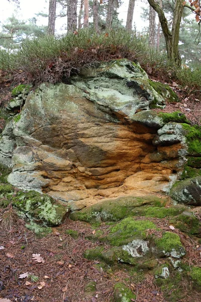 Detalj av spruckna sand sten rock i skogen — Stockfoto