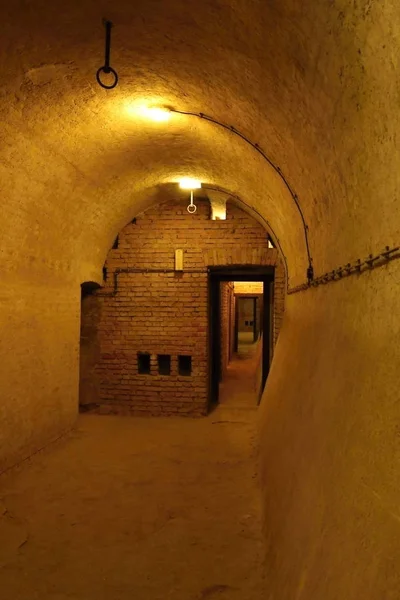 Refugio a prueba de bombas con pared de ladrillo y puerta — Foto de Stock