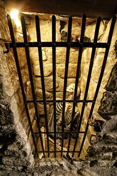 금속 막대기를 가진 작은 감옥에 해골 — 스톡 사진