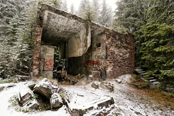 Restos de paredes de tijolo do edifício assustador na floresta — Fotografia de Stock