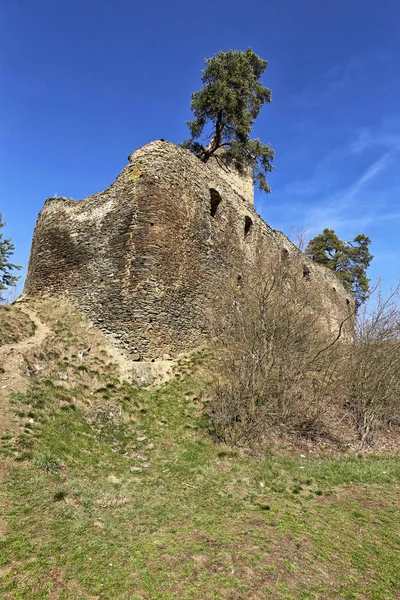 Gutstejn castillo edificio ruinas con árboles por encima — Foto de Stock