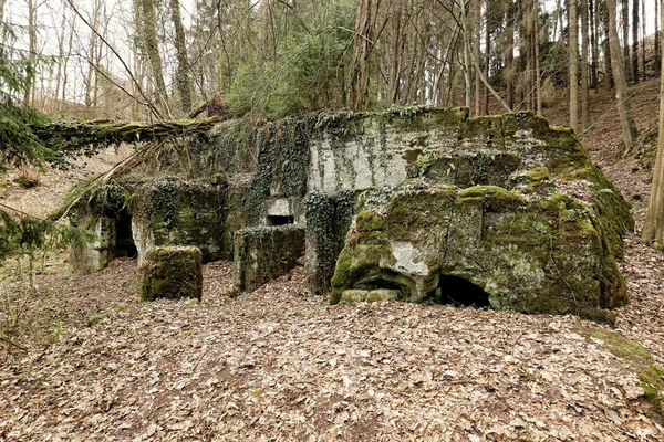 Yosun ve yeşilliklerle kaplı kaya heykelli bina kalıntıları — Stok fotoğraf
