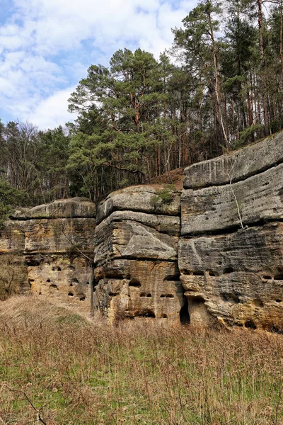 Homok kő sziklák fenyőfákkal a tetején — Stock Fotó