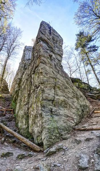 Tall rock fák között turista ösvény körül — Stock Fotó