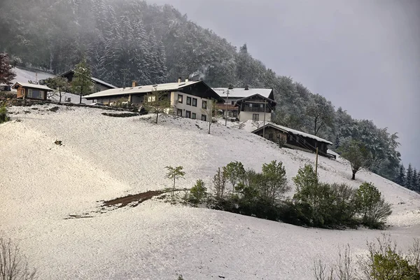 Casas na colina coberta de neve abaixo da floresta — Fotografia de Stock