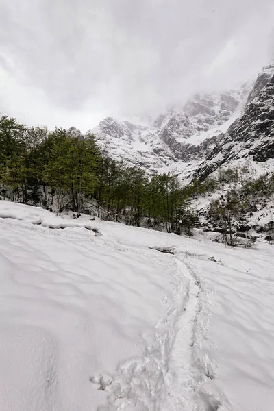 Chemin dans la neige profonde à flanc de colline près de la forêt — Photo