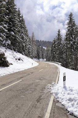 Ağaçlar ve kar ile kavisli beton dağ yolu