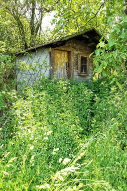 Bir kapı ve bir pencere ile Scrubby terk edilmiş bahçe evi