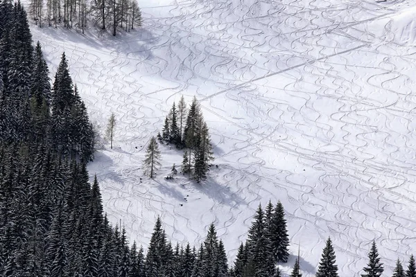 Steep hillside by the forest with skiers traces — Stock Photo, Image