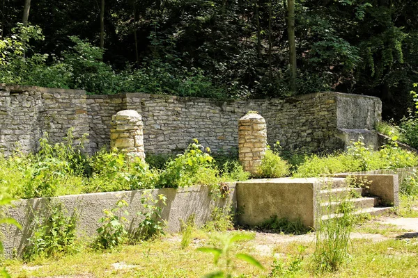 Основы старого театра с лестницами и каменистыми колоннами в лесу — стоковое фото