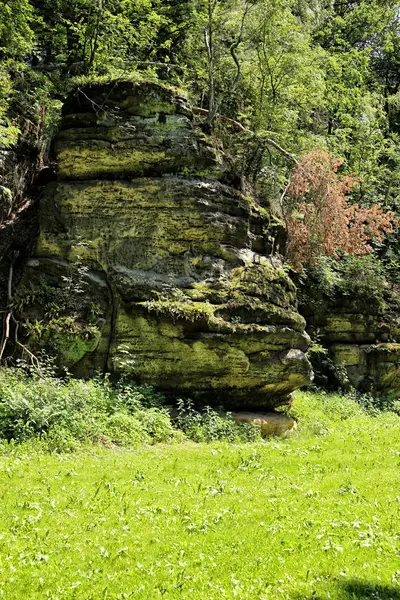 Обезьяний камень в форме головы над зеленым полем — стоковое фото