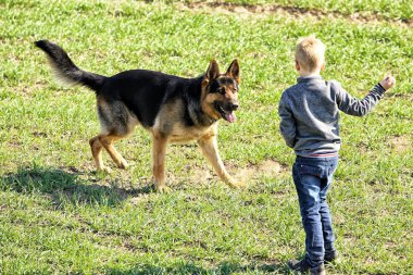Küçük çocuk siyah köpek ile oynuyor 
