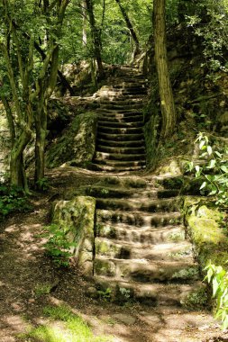 Uzun kullanılmayan merdiven kum kaya içine kesilmiş