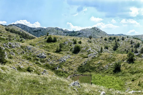 Pequeno campo no meio das montanhas — Fotografia de Stock