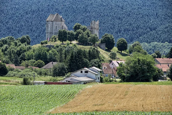 Ancien château en ruine sur la colline avec des arbres sur le fond — Photo