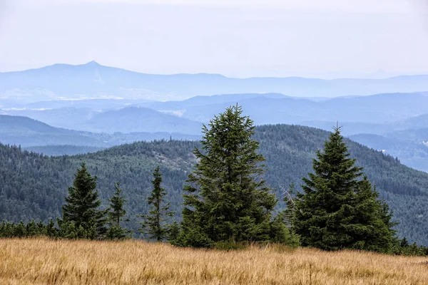 Дерева і савана з горами на задньому плані — стокове фото