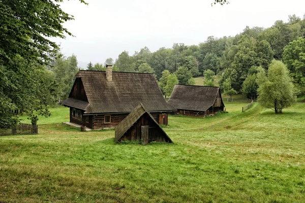 Casas de madeira na colina gramada pela floresta — Fotografia de Stock