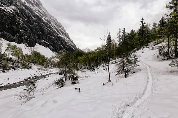 Narrow path in the snow on the valley hillside — Stock Photo, Image