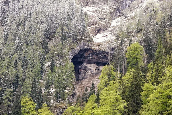 Hög Bergs grotta med träd på taket — Stockfoto