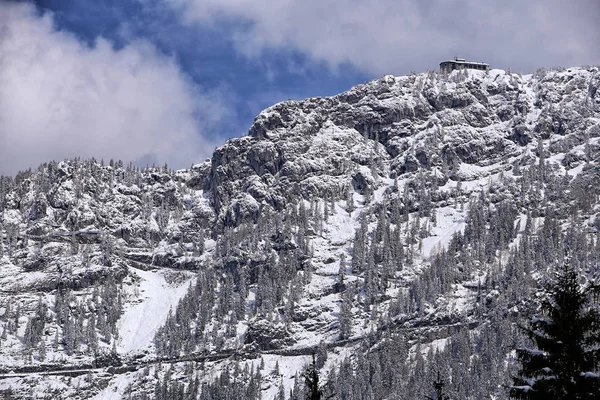 Eagls ninho de construção no topo do pico da montanha coberto de neve — Fotografia de Stock