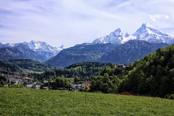 Watzmann berg och alpin äng — Stockfoto