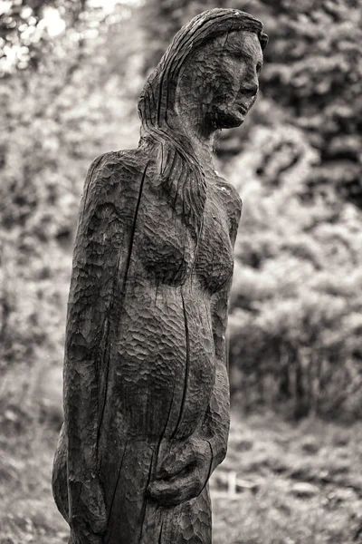 Figura de madeira da mulher jovem grávida — Fotografia de Stock