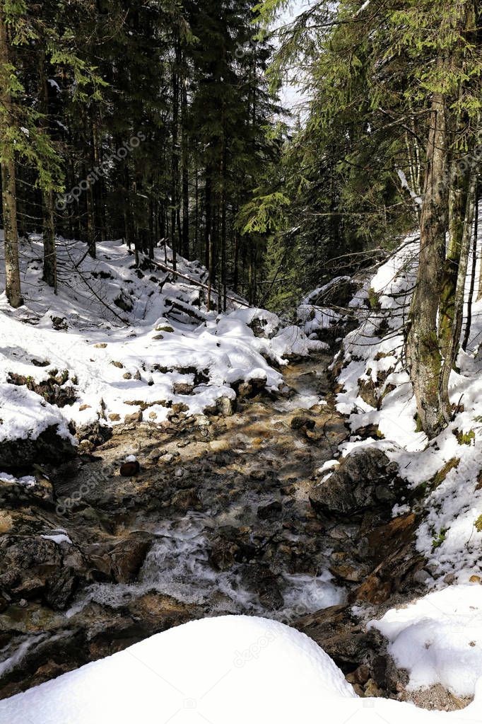 Forest stream with snowy river banks