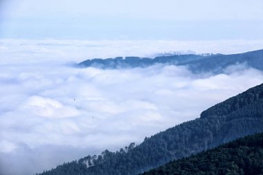 Bulutlar ve sis ile dolu derin vadi yukarıda kuşlarla