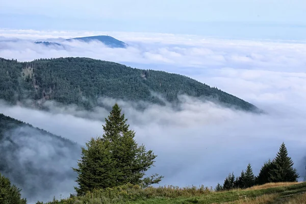 Grande vale cheio de nevoeiro e nuvens com colinas e árvores — Fotografia de Stock