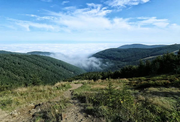 Beskydy mountains valley filled with clouds on summer morning — Stock Photo, Image