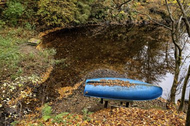 Sonbaharda nehir kıyısında yapraklarla kaplı mavi bir tekneye döndü.