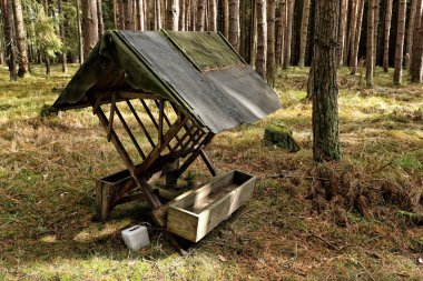 Ormanda geyik avlamak için siyah çatılı boş kasık.