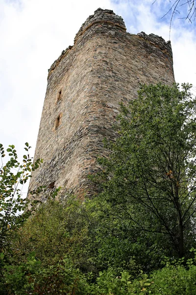 Ancien Château Médiéval Tour Sur Les Arbres Jour Été — Photo